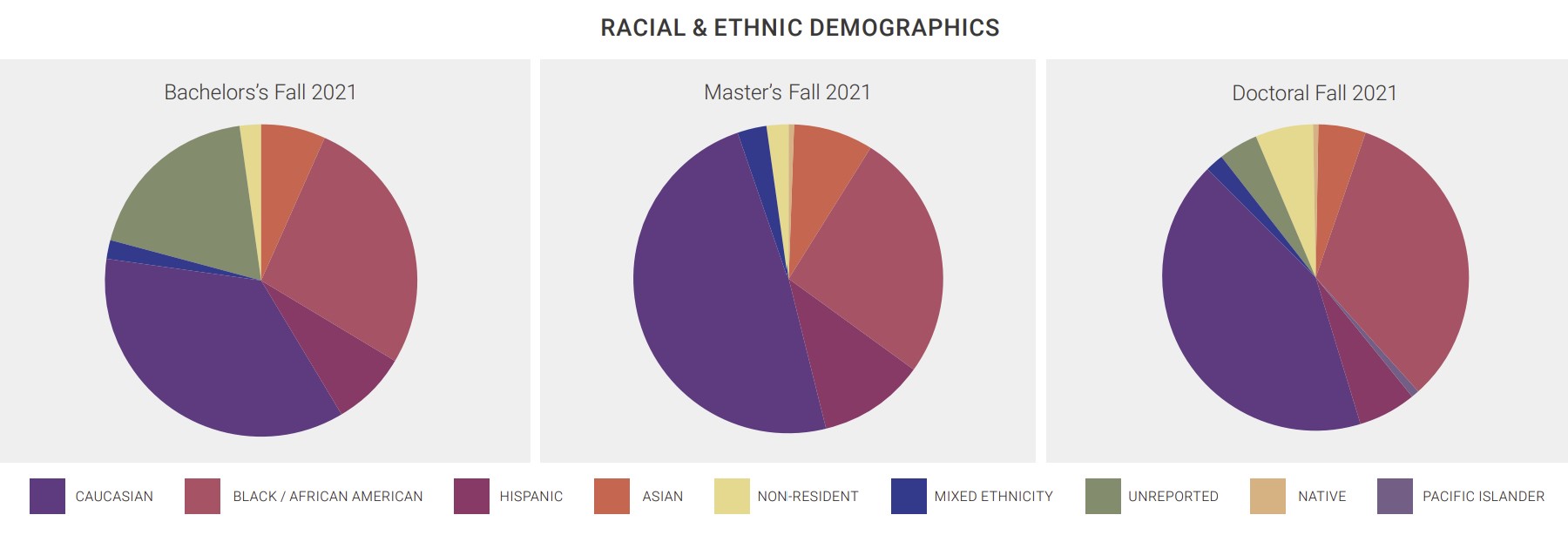 Pie Chart of Capitol Tech University Racial and Ethnic Demographics by Program 2021