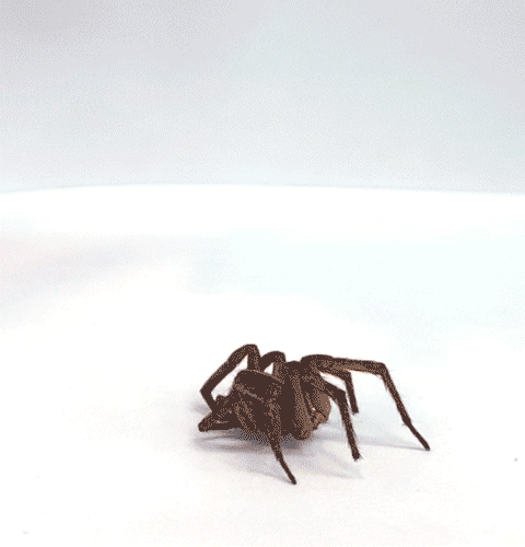 necro-robotic spider gripper animated gif 