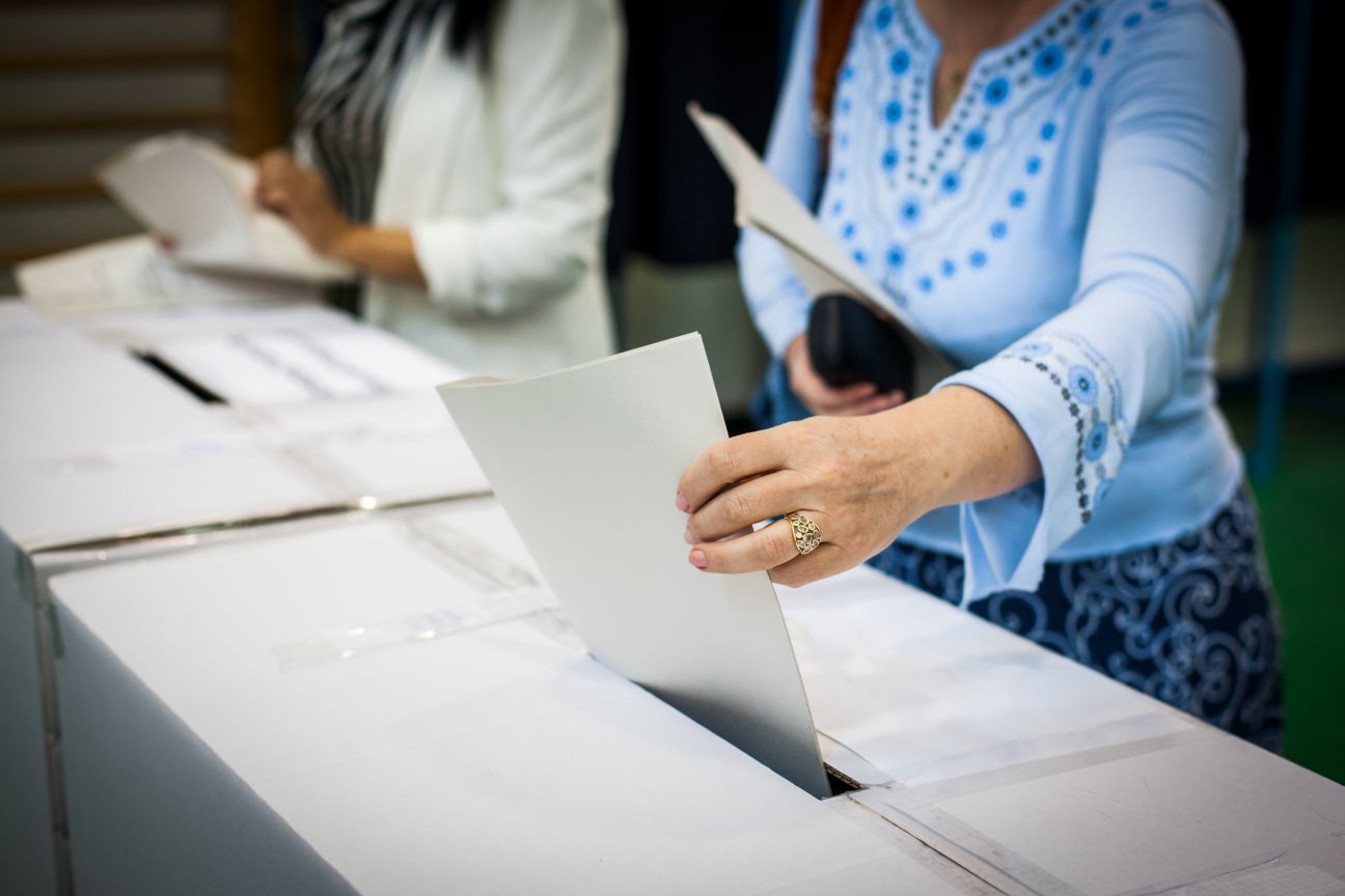 Cyberpsychology and Voting. bizoo_n. AdobeStock