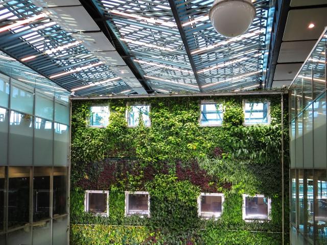 Green Walls used in Construction Industry