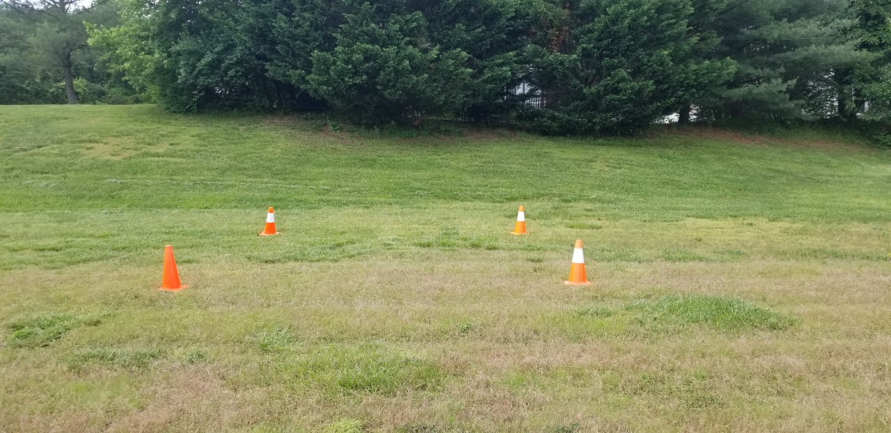 Location Designated for ALPHA Site with Orange Cones