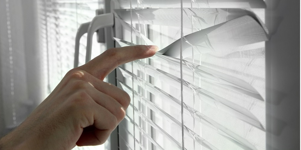 person looking out of a window blind