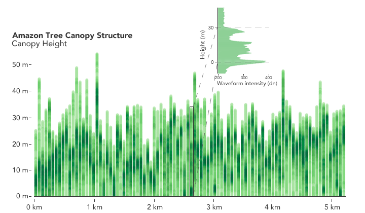GEDI map showing the height of trees in the Amazon rainforest