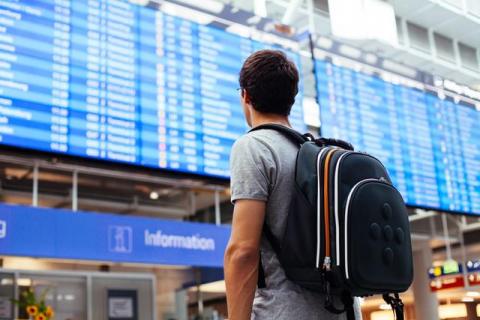 Distracted traveler