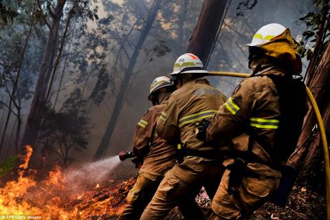 Fire Fighters Spraying Water at a Wildfire