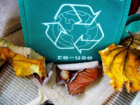 recylcing bag and leaves