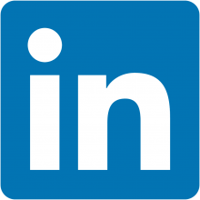 LinkedIn logo initials